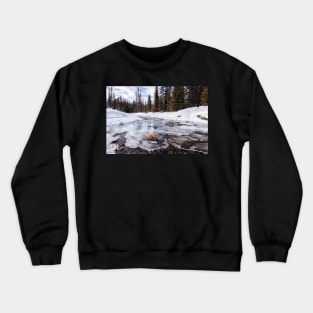 On Thin Ice Crewneck Sweatshirt